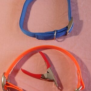 Blue and Orange Dog Collars with Clipper